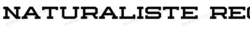 Naturaliste Regular字体转换